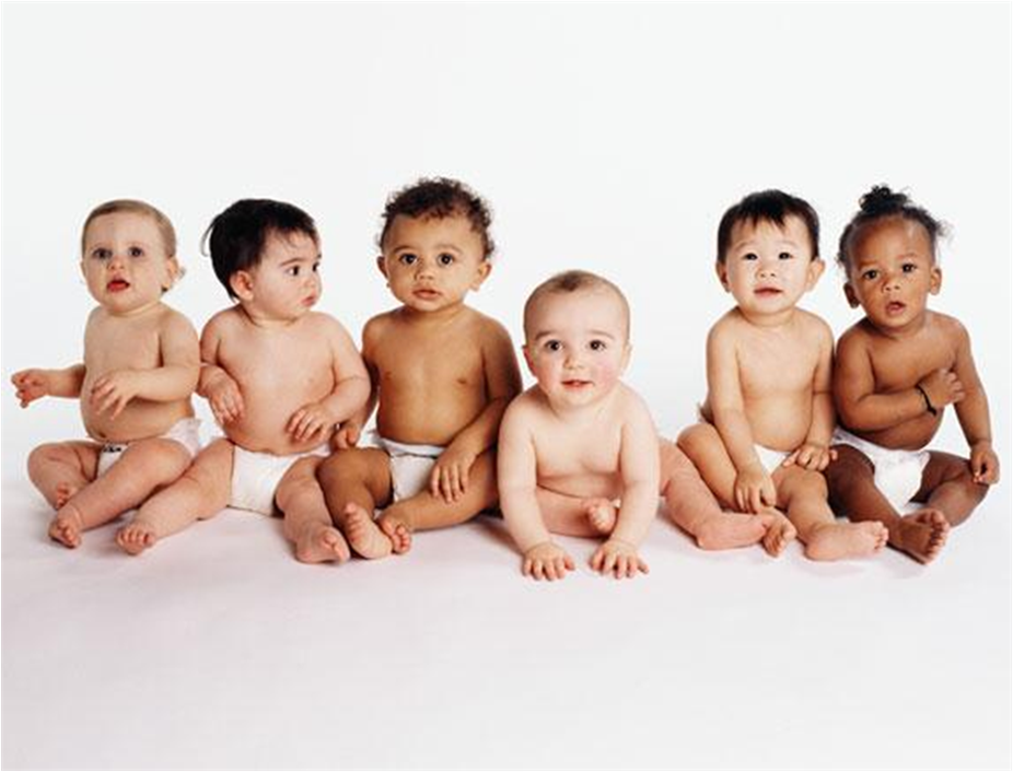 Joan de Boer Dinamització Lectora-Petitets