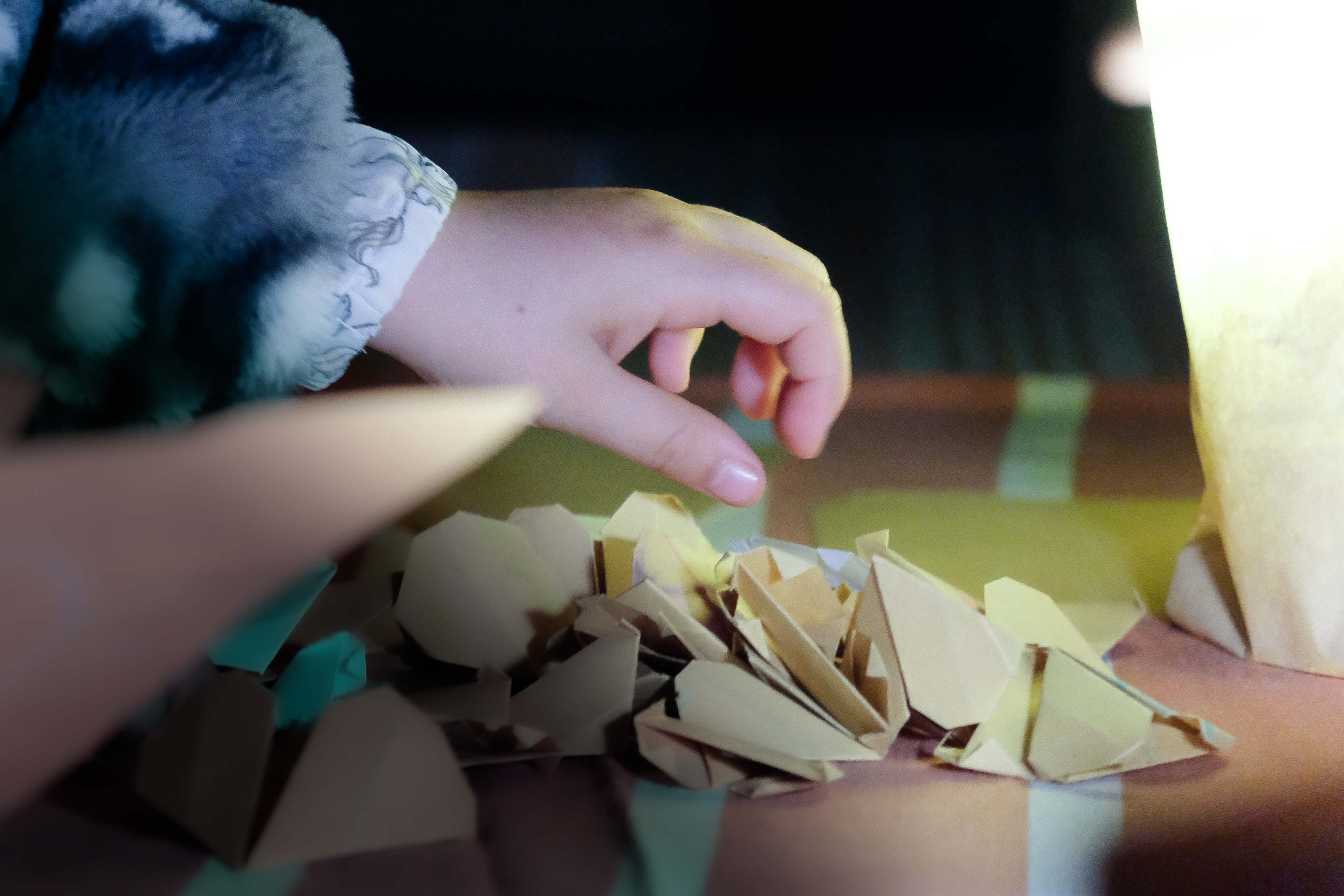 Las Miradas Compartidas-Viatge a kokoro