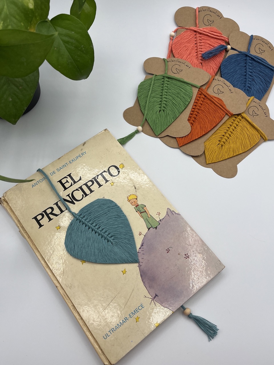 Clara Vallejo Barnosell-Taller de punts de llibre en macramé