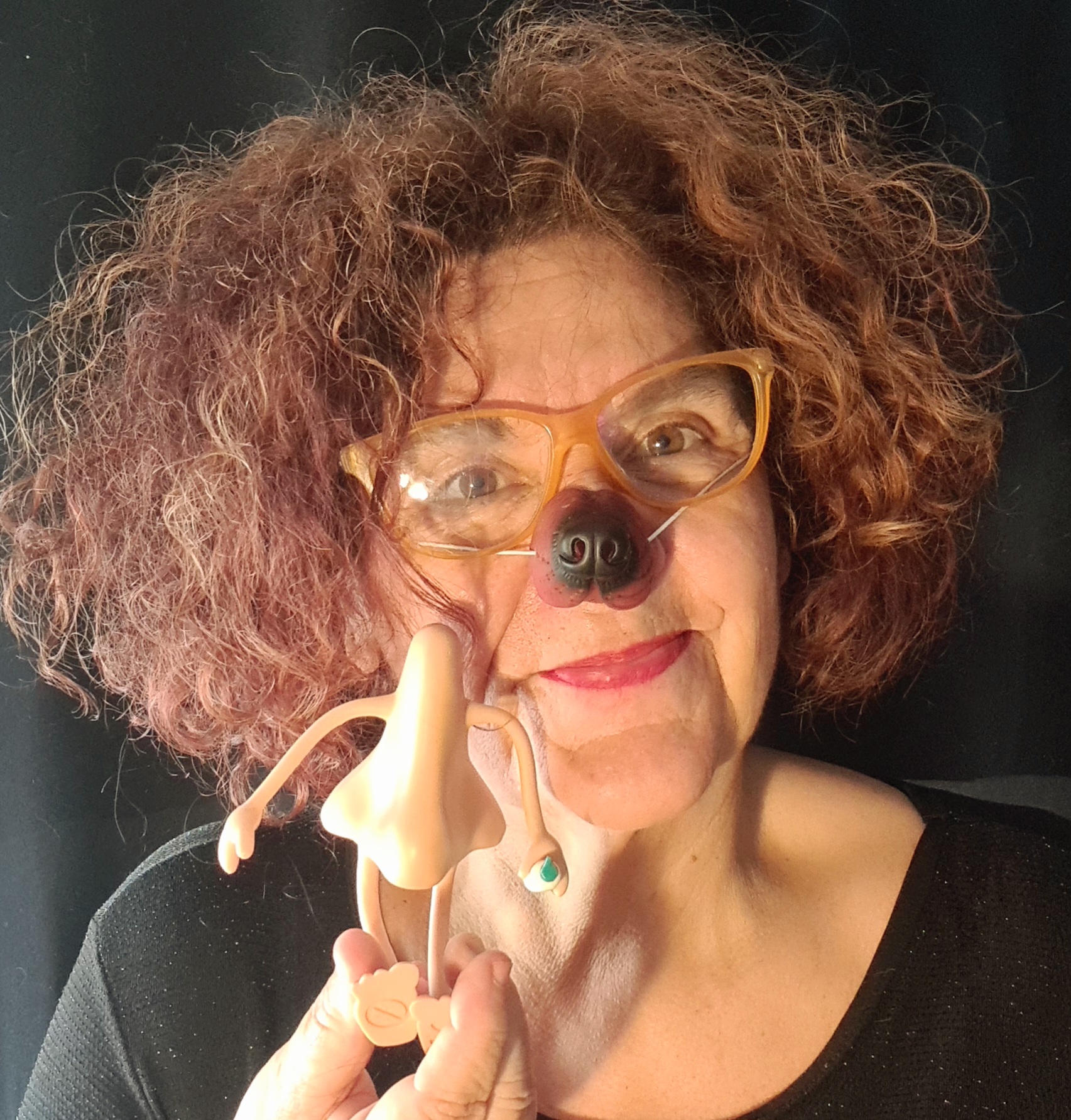 Borinotgroc / M. Dolors Arqué-Té nassos. Contes per a adults