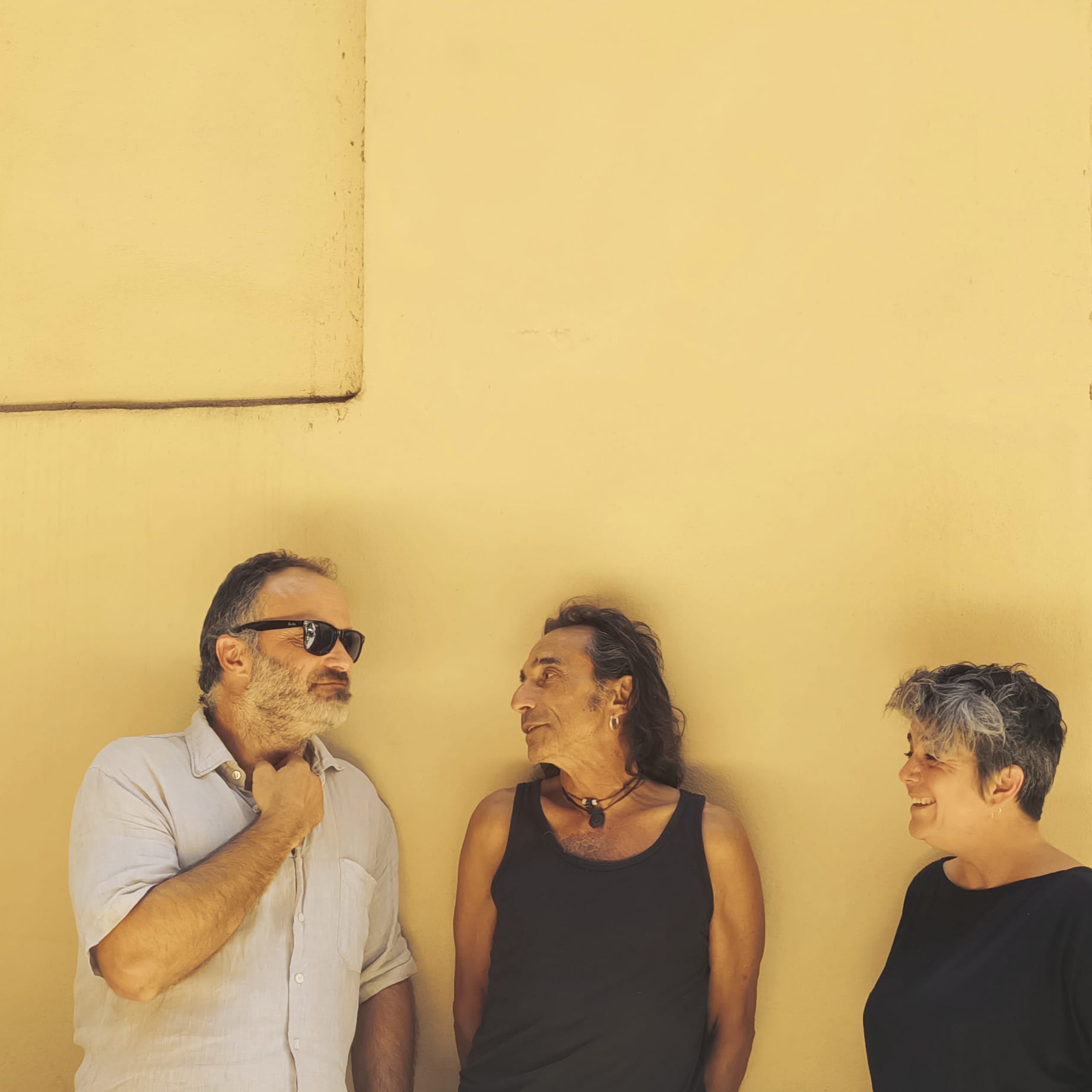 Laia Claver Nadal-Dialèctrica