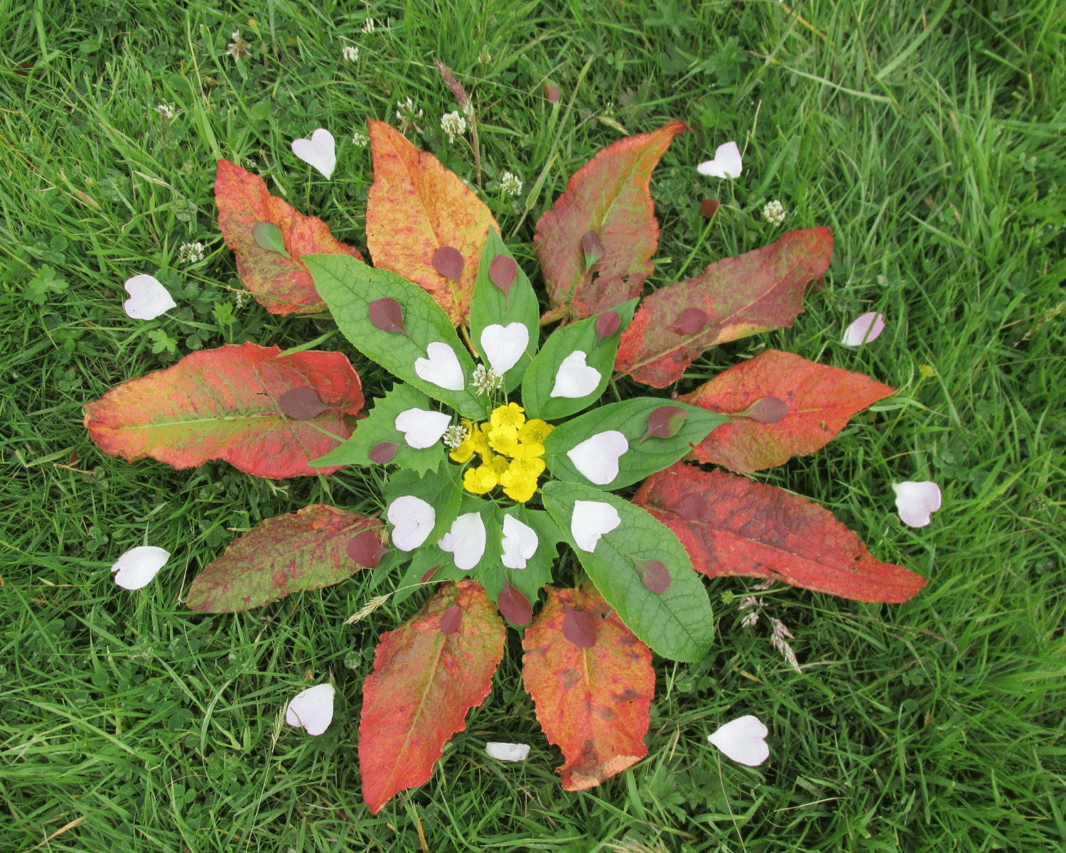 La Tribu Iogui-Mandala – Art natura