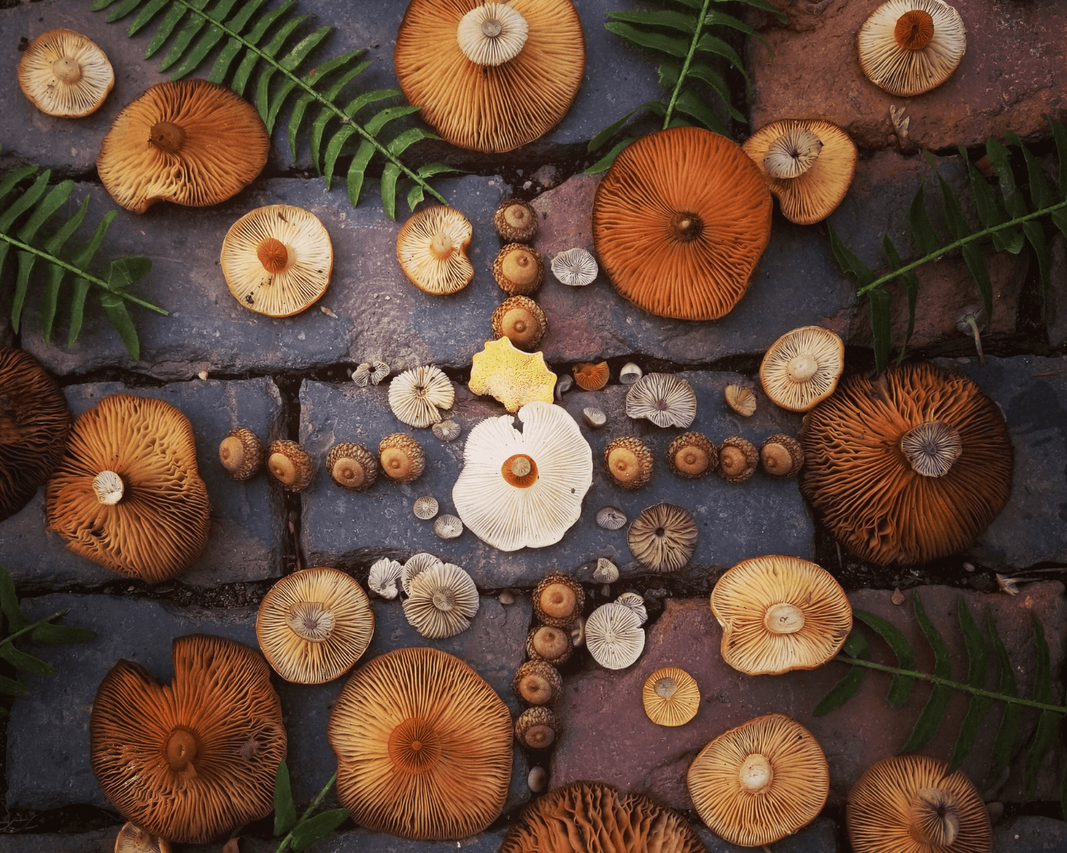 La Tribu Iogui-Mandala – Art natura