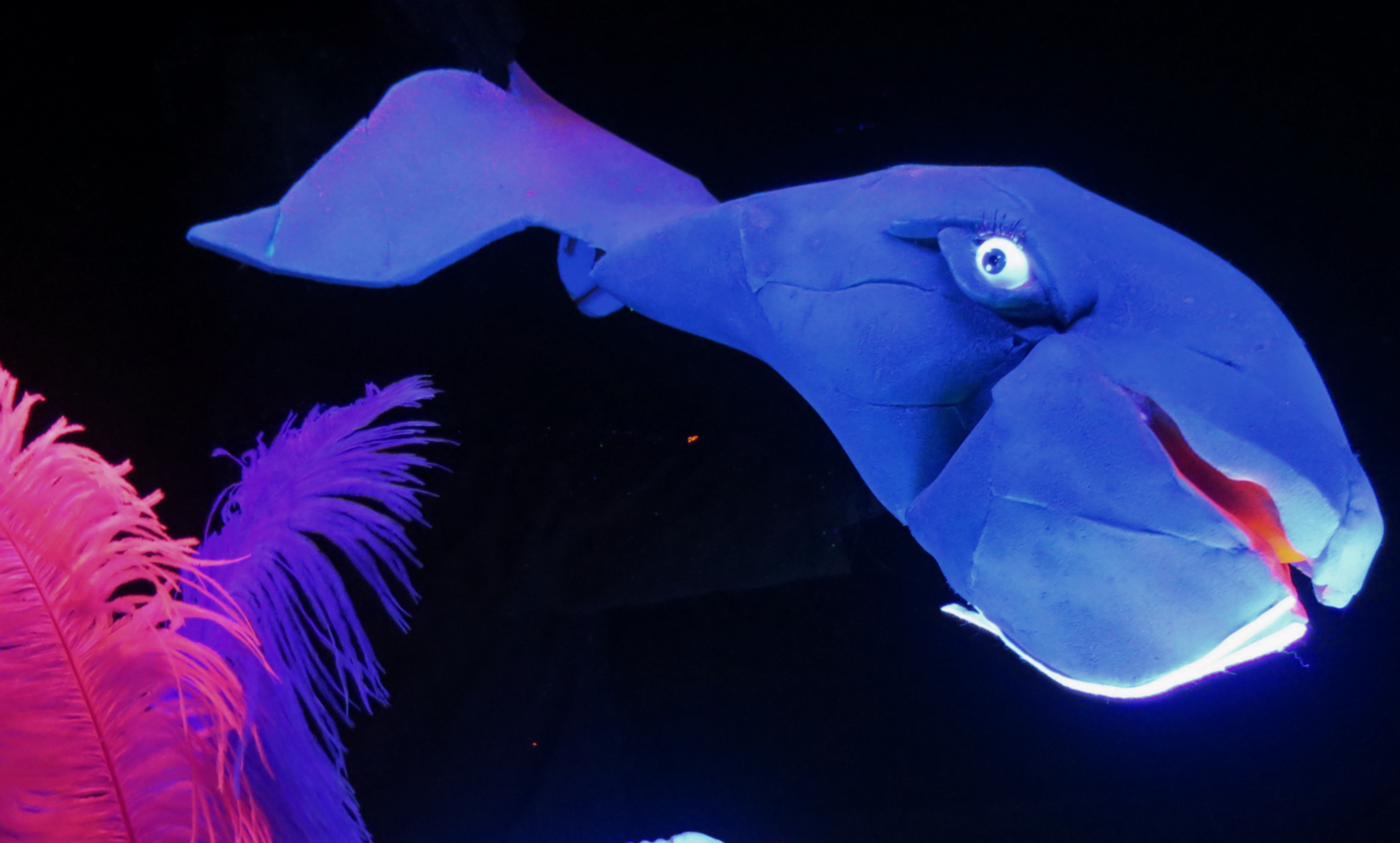 Melicotó Titelles-Plastiiik