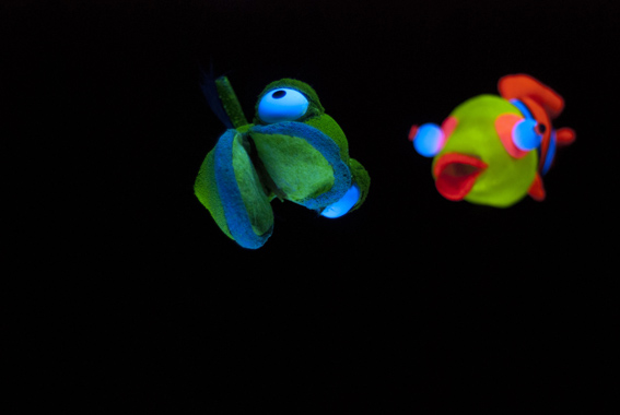 Melicotó Titelles-Plastiiik