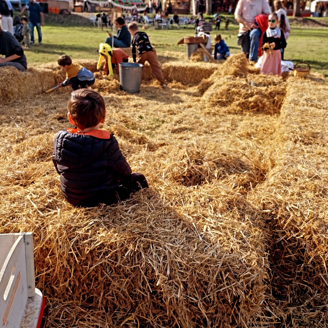 Kincakau-Juguem amb palla