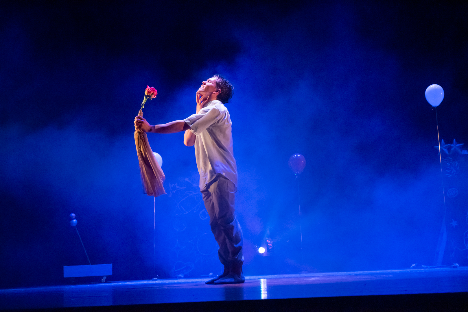 Companyia NS Dansa-El petit príncep