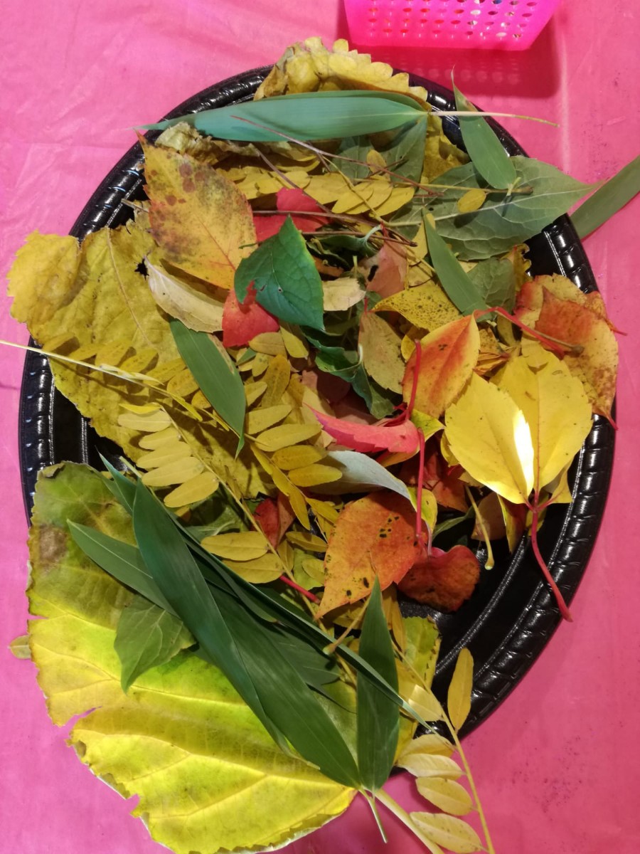 La Minúscula-Un conte… i un taller