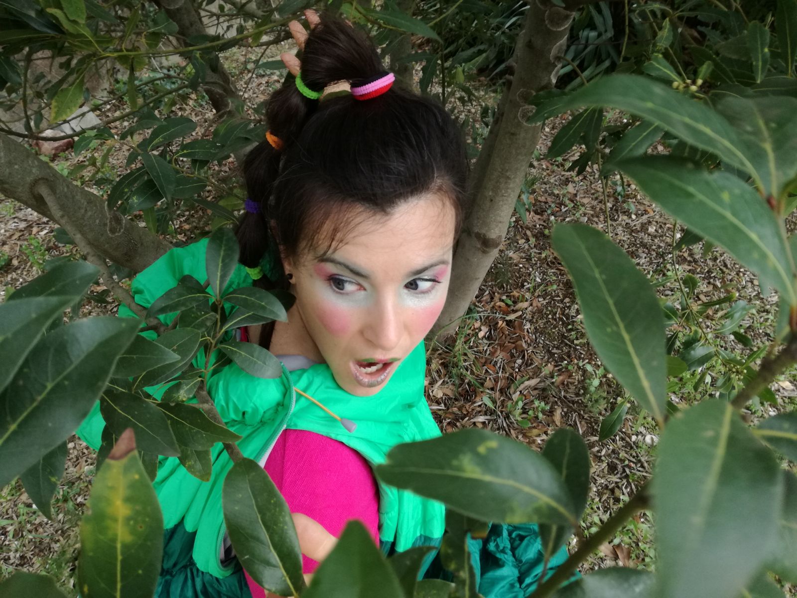 La Minúscula-Els contes de l'eruga