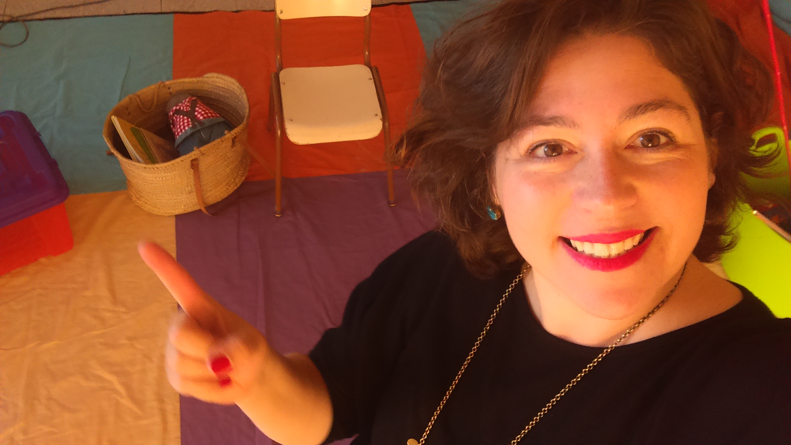 La Minúscula-Flors i violes