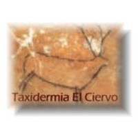 Taxidermia El Ciervo