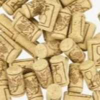 Amorim Florestal Mediterrani