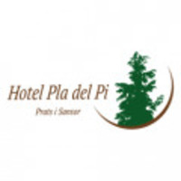 Hotel Pla del Pi