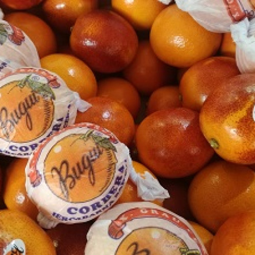 Naranja Sanguina Bugui P.V.P/Kg