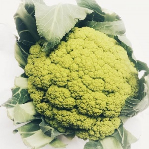 Brócoli o “coliflor verde”. P.V.P/Ud