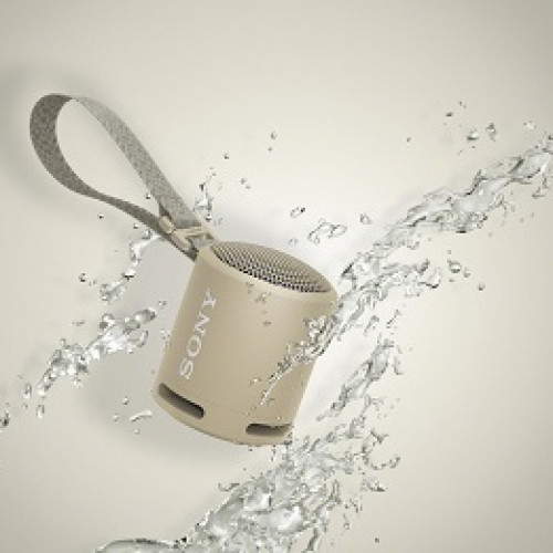 ALTAVOZ SONY SRSXB13C.CE7 BLUETOOTH GRIS