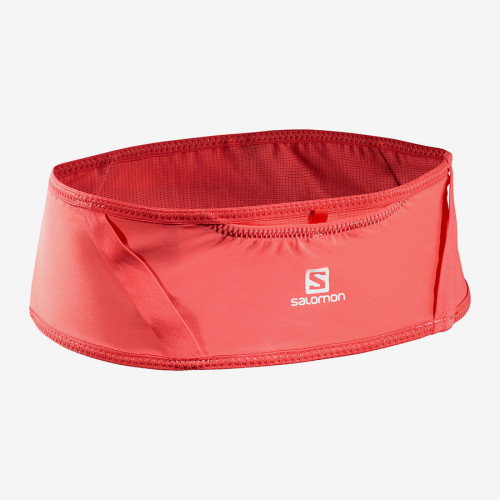 Salomon Pulse Belt – Unisex