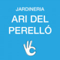 Ari del Perelló
