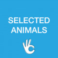 Selected Animals