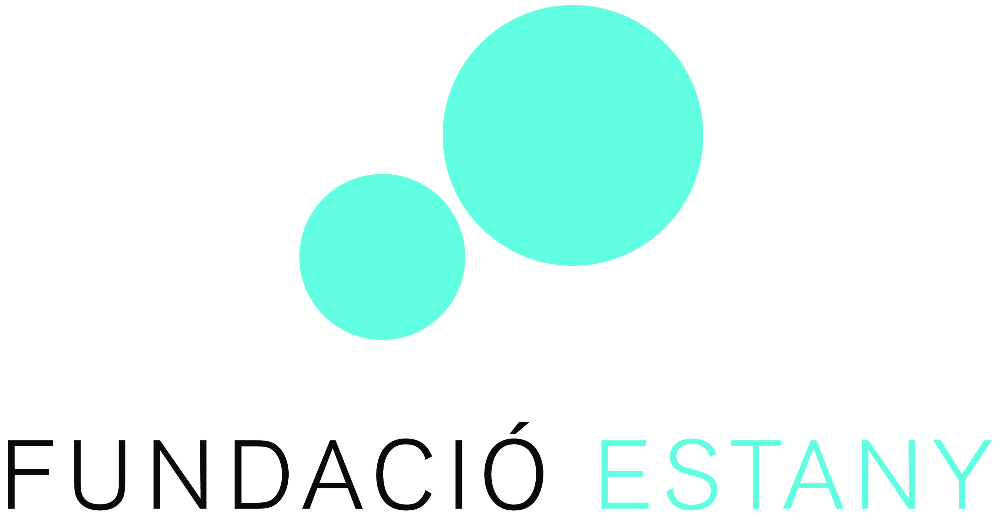 Fundació Estany