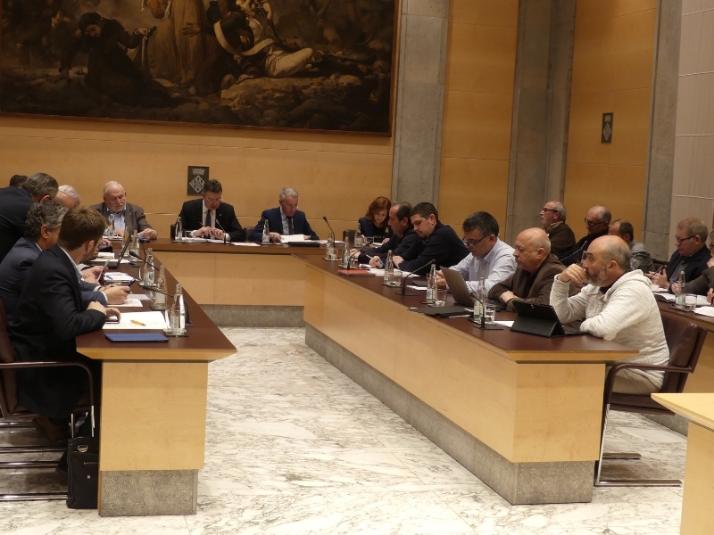 Foto 5: L'àmbit social continua present al ple de la Diputació de Girona