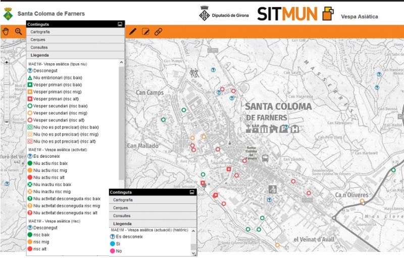 Foto 2 : Es crea l'aplicació SITMUN - «Vespa asiàtica» per establir un registre de dades i informació territorial sobre aquest