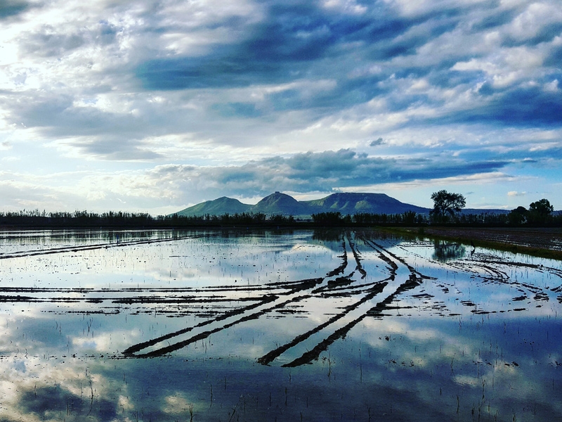 Foto 1: Pla d'actuacions per controlar la inundabilitat a la conca del rec Vell - Ter Vell, a Torroella de Montgrí - l'Estart