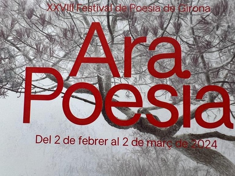Foto 1: Roger Mas obre la XXVIII edició del Festival de Poesia de Girona, Ara Poesia
